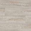 White Chestnut