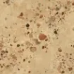 Image de I Cocci Siciliani