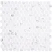 Image de Penny Ecostone