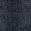 Image de Xtra II