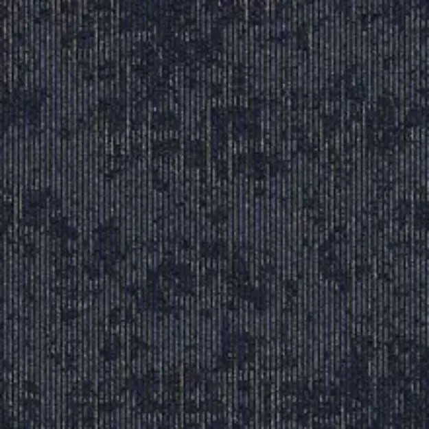 Image de Xtra II
