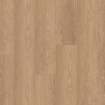 Baronia marron
