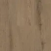 Sienna Oak