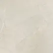 Pulpis ivory 
