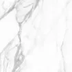 Araberscato glossy